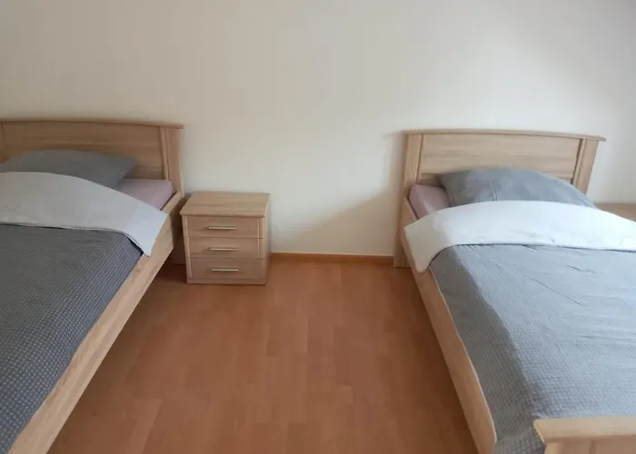 Monteurzimmer/ferienwohnung شقة